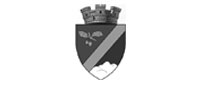 primaria-huedin-1